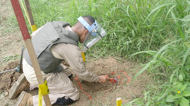 Landmines Colombia Coca