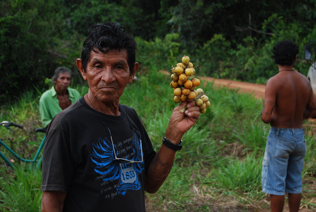 latin america green new deal