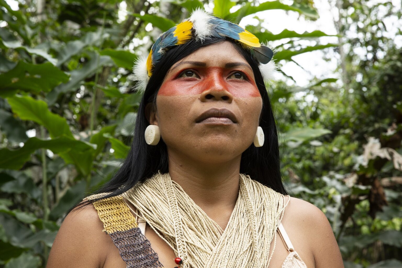 Indigenous Latin America