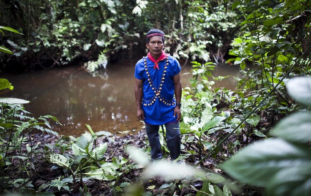 indigenous amazon