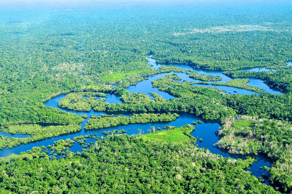 brazil deforestation